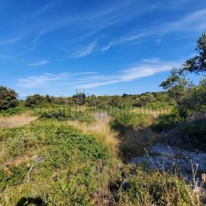 SILBA - GRAĐEVINSKO ZEMLJIŠTE - PRILIKA - 5772m2