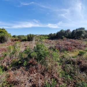 SILBA - GRAĐEVINSKO ZEMLJIŠTE - PRILIKA - 5772m2