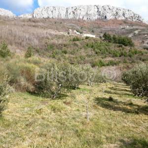 Solin, Rupotina - građevno zemljište