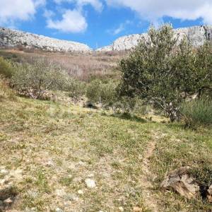 Solin, Rupotina - građevno zemljište