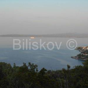 Šolta, 7345m2 poljoprivredno, otvoren pogled na more