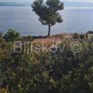 Šolta, Donje Selo, Krušica Donja zemljište 500 m2