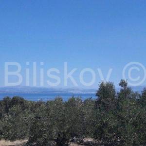 Šolta.  građevinska parcela 2022 m2