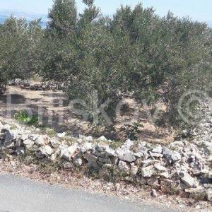 Šolta.  građevinska parcela 2022 m2