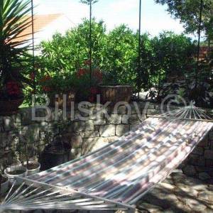 Šolta Maslinica 2 kuće 120 m od mora