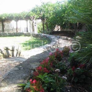 Šolta Maslinica 2 kuće 120 m od mora