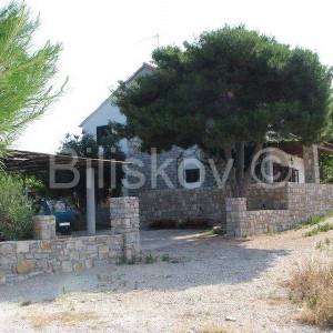 Šolta Maslinica 2 kuće 120 m od mora