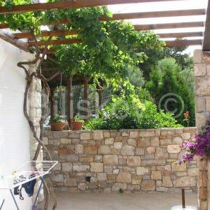 Šolta Maslinica 2 kuće 120 m od mora