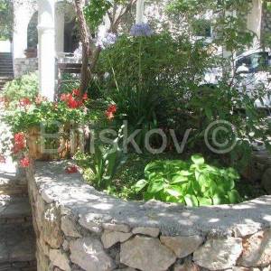 Šolta Maslinica 2 kuće 120 m od mora