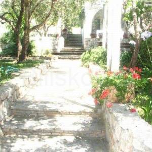 Šolta Maslinica 2 kuće 120 m od mora