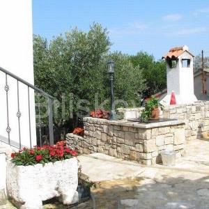 Šolta Maslinica 2 kuće 120 m od mora