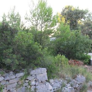 Splitska, Brač- građevinsko zemljište 