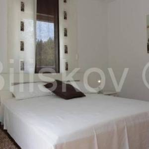 Splitska, otok Brač - vila s bazenom