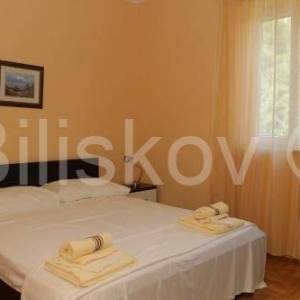 Splitska, otok Brač - vila s bazenom