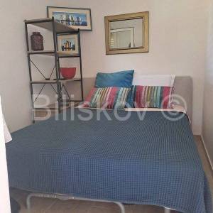 Stari Grad,  kuća 51 m2 sa maslinikom 2300 m2