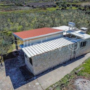 Stari Grad,  kuća 51 m2 sa maslinikom 2300 m2