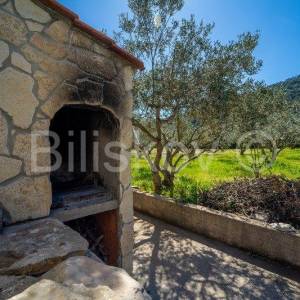 Stari Grad,  kuća 51 m2 sa maslinikom 2300 m2