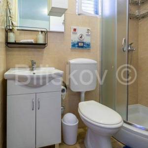 Stari Grad,  kuća 51 m2 sa maslinikom 2300 m2