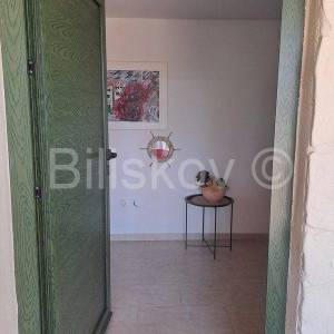 Stari Grad,  kuća 51 m2 sa maslinikom 2300 m2