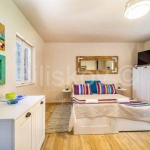 Stari Grad,  kuća 51 m2 sa maslinikom 2300 m2