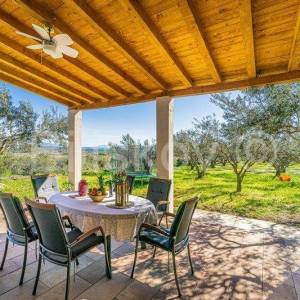 Stari Grad,  kuća 51 m2 sa maslinikom 2300 m2