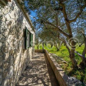 Stari Grad,  kuća 51 m2 sa maslinikom 2300 m2
