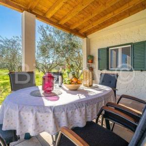 Stari Grad,  kuća 51 m2 sa maslinikom 2300 m2