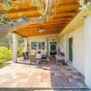 Stari Grad,  kuća 51 m2 sa maslinikom 2300 m2