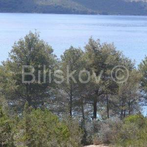 Stari grad,zaljev poljoprivredno zemljište