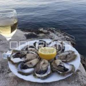 Ston – Građevinsko zemljište s pogledom na povijest