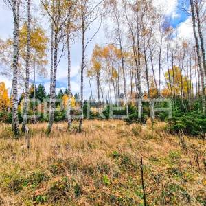 Šumsko građevinsko zemljište u mirnom naselju Hlevci, 1.430 m2