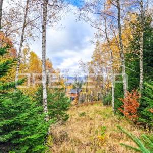 Šumsko građevinsko zemljište u mirnom naselju Hlevci, 1.430 m2