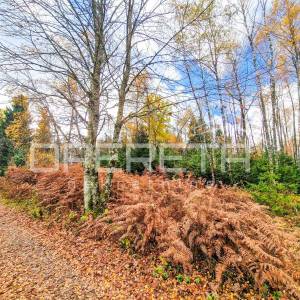 Šumsko građevinsko zemljište u mirnom naselju Hlevci, 1.430 m2