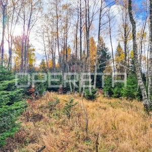 Šumsko građevinsko zemljište u mirnom naselju Hlevci, 1.430 m2