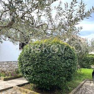 Supetar - samostojeća kuća prizemnica i studio apartman