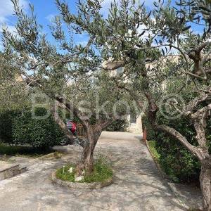 Supetar - samostojeća kuća prizemnica i studio apartman