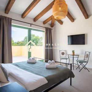 Tinjan,Istra,luksuzna villa s bazenom 150m2 i okućnicom 621m2