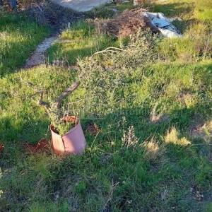 TRIBUNJ-ATRAKTIVNO GRAĐEVINSKO ZEM. 553m2- TOP LOKACIJA!