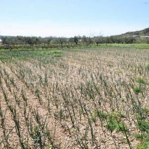 Trogir, Plano, građevinsko zemljište površine 4.170 m2.