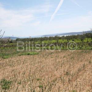 Trogir, Plano, građevinsko zemljište površine 4.170 m2.