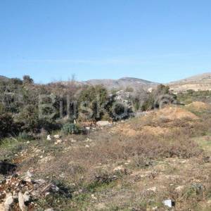 Trogir, Plano, zemljište 7.365 m2 gospodarske namjene.