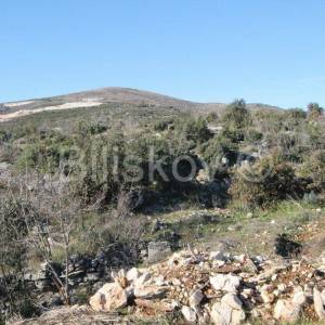 Trogir, Plano, zemljište 7.365 m2 gospodarske namjene.