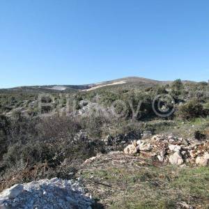 Trogir, Plano, zemljište 7.365 m2 gospodarske namjene.