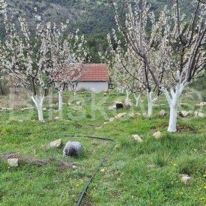 Tugare, građevinska parcela s velikim voćnjakom