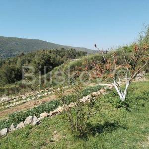 Tugare, građevinska parcela s velikim voćnjakom