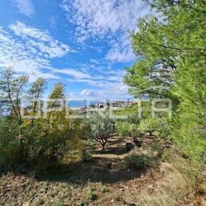 Ulica ratnih žrtava, Podstrana, 4.857,00 m2, 1,00 EUR