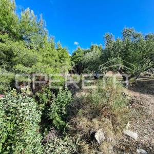 Ulica ratnih žrtava, Podstrana, 4.857,00 m2, 1,00 EUR