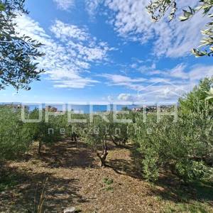 Ulica ratnih žrtava, Podstrana, 4.857,00 m2, 1,00 EUR