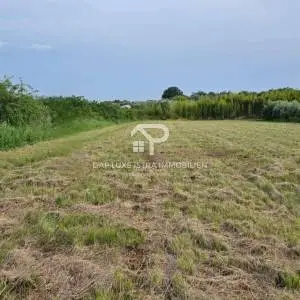 Umag Građevinsko zemljište 500m2 na 2km od mora