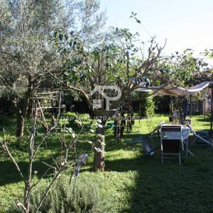 Umag Obiteljska kuća 280m2 s 4 stana i okućnicom